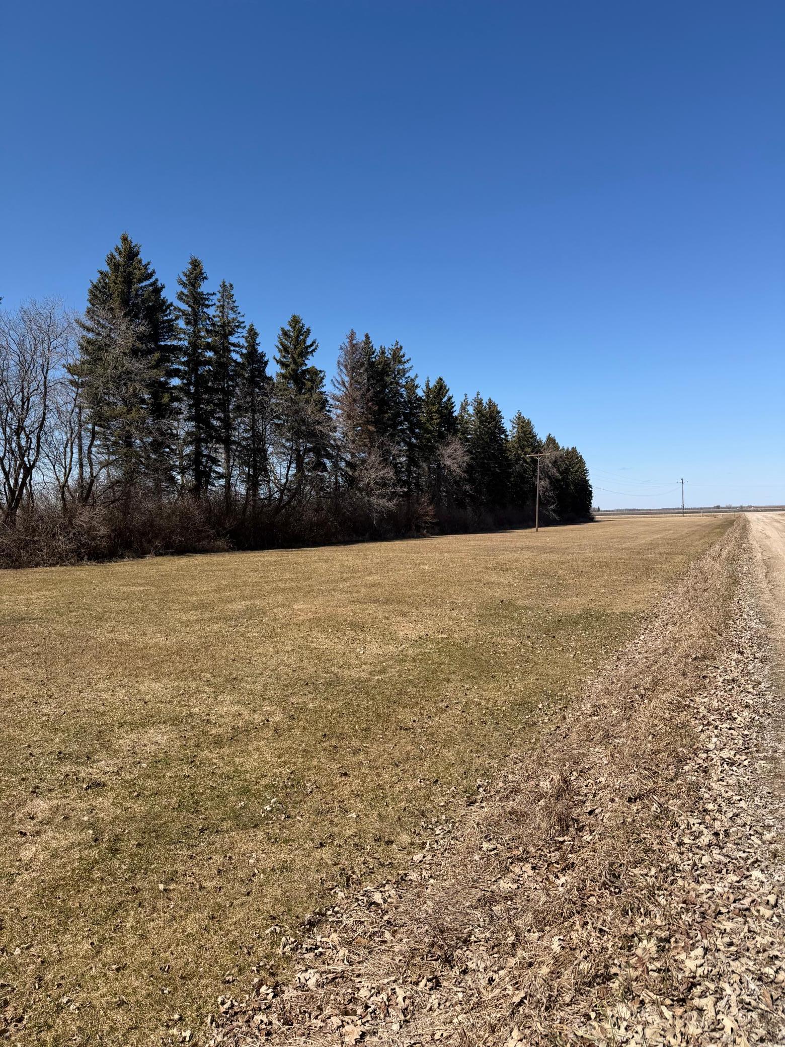 37488 320th Street Roseau, MN 56751 - Photo 11 of 13