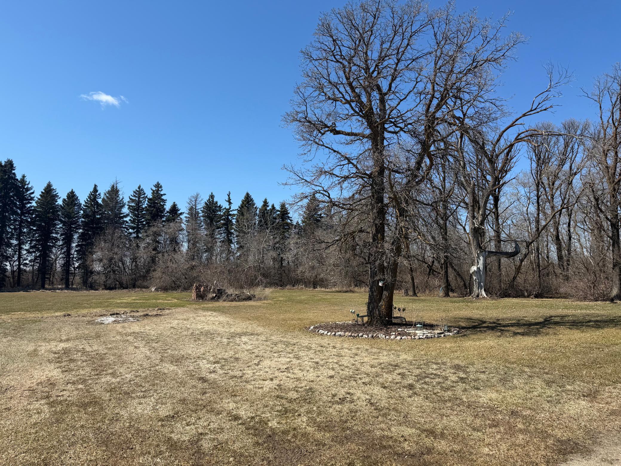 37488 320th Street Roseau, MN 56751 - Photo 9 of 13