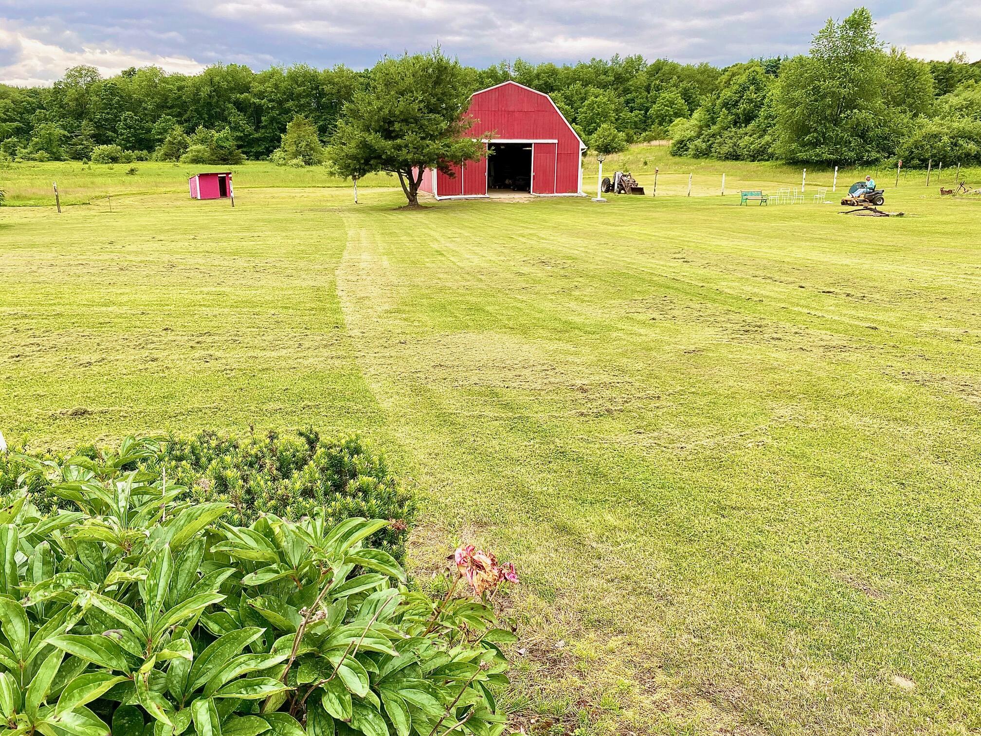 7010 Pingree Road Pinckney, MI 48169 - Photo 11 of 54 IMG_5126