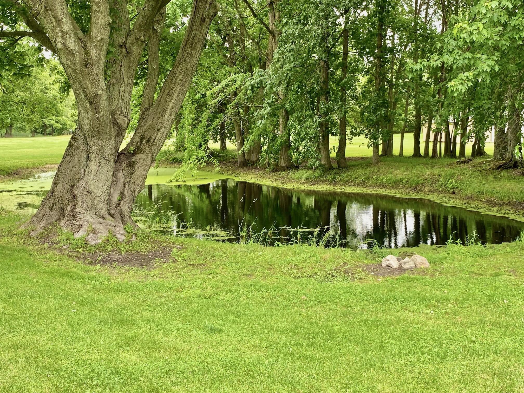 7010 Pingree Road Pinckney, MI 48169 - Photo 9 of 54 IMG_5118