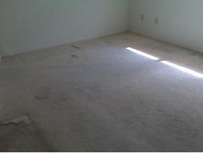 896 Kings Post Road Rockledge, FL 32955 - Photo 3 of 6 Additional Photo