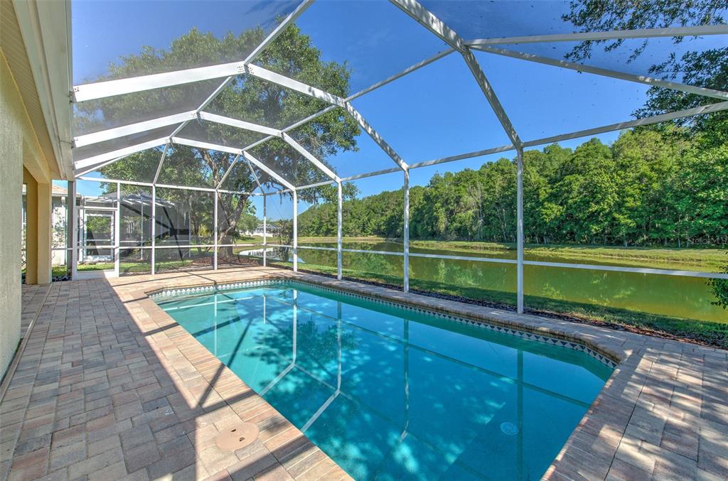 27601 Baybrook Loop Wesley Chapel, FL 33544 - Photo 6 of 34