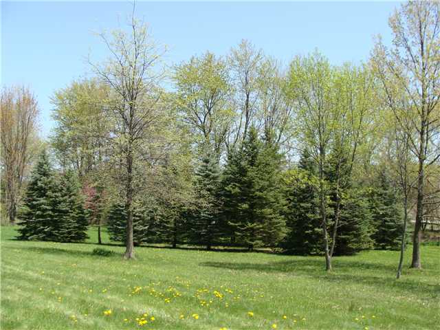 2227 Burnside Road Northwest Pataskala, OH 43062 - Photo 10 of 25