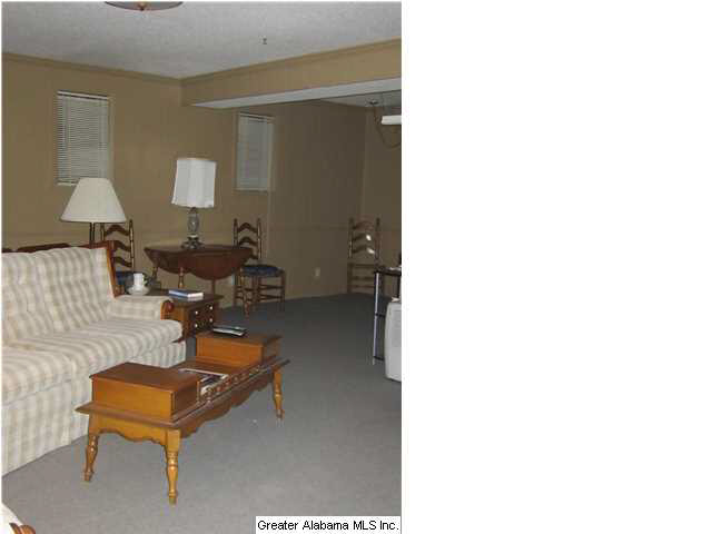 6168 Old Springville Road Pinson, AL 35126 - Photo 19 of 22