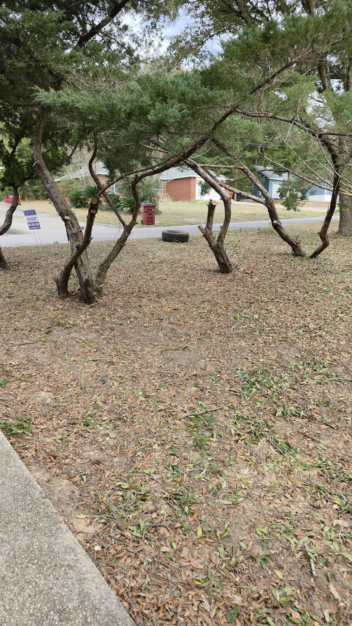 Undisclosed Address Crestview, FL 32536 - Photo 12 of 12 20260129_131753 - Copy