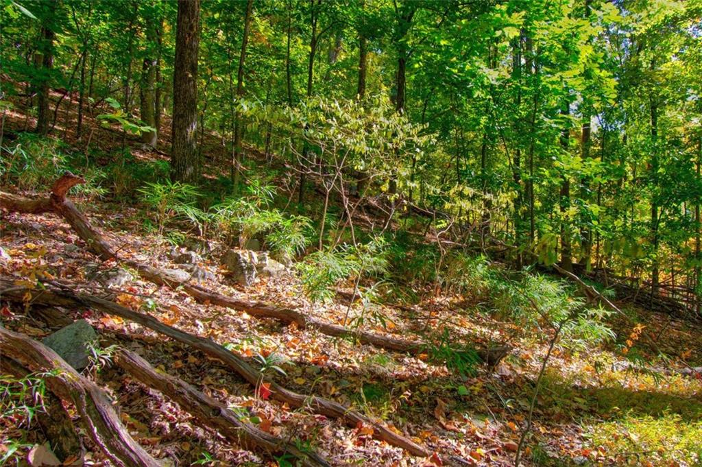 228 Stone Clf Trace Cleveland, GA 30528 - Photo 13 of 41 a view of a lush green forest