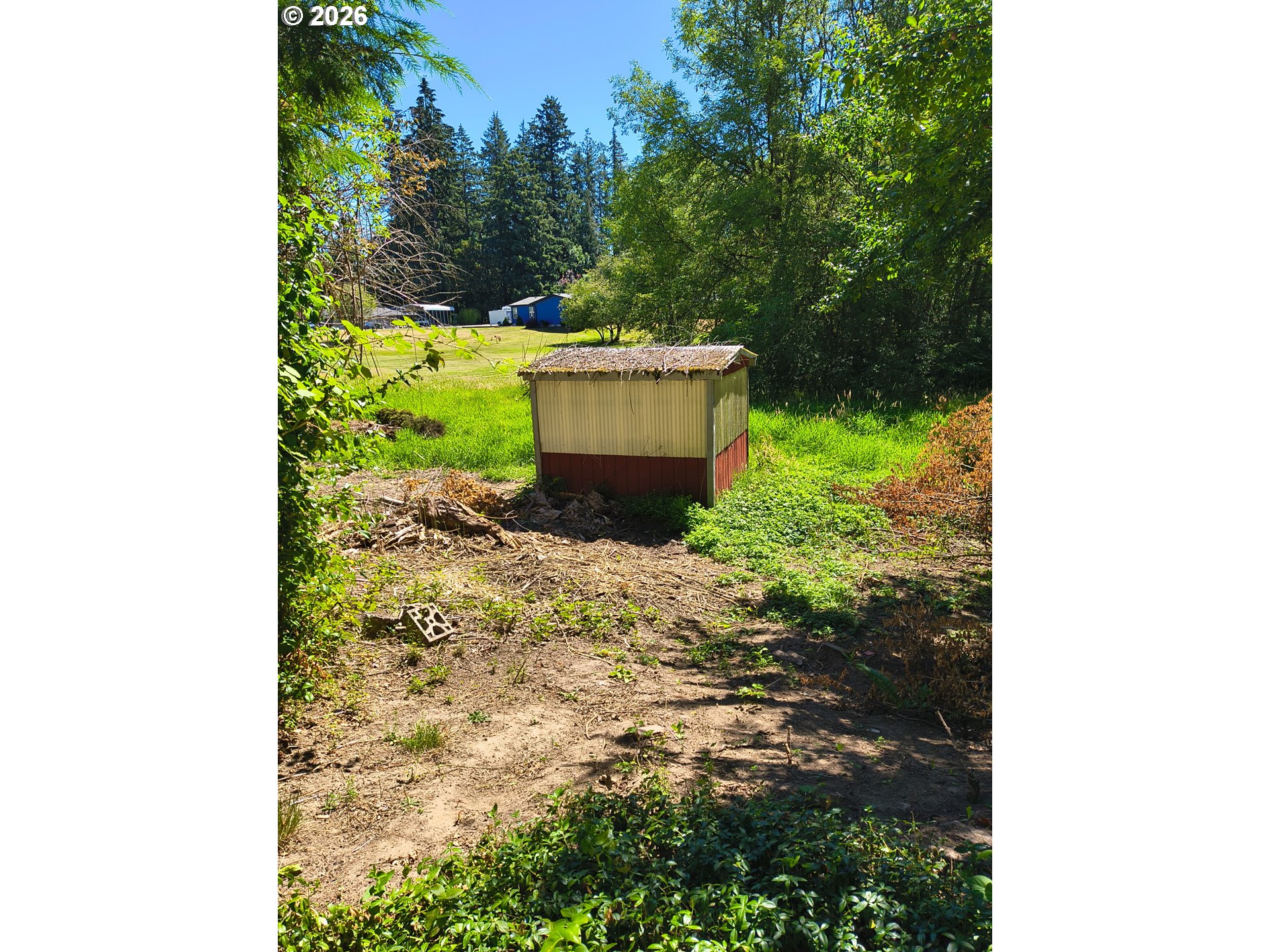 57510 South Morse Road Warren, OR 97053 - Photo 6 of 26 Shed