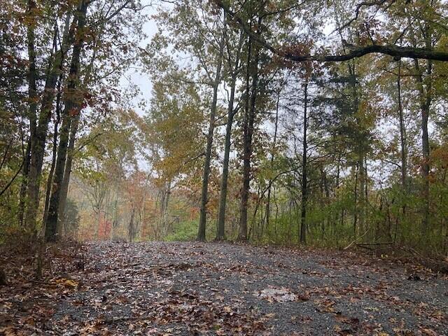 817 Galbraith Road Brooksville, KY 41004 - Photo 2 of 5