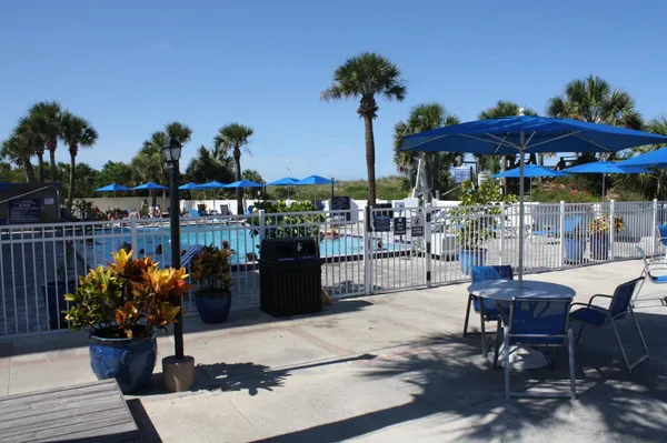 a view of a field with a big yard and a palm tree