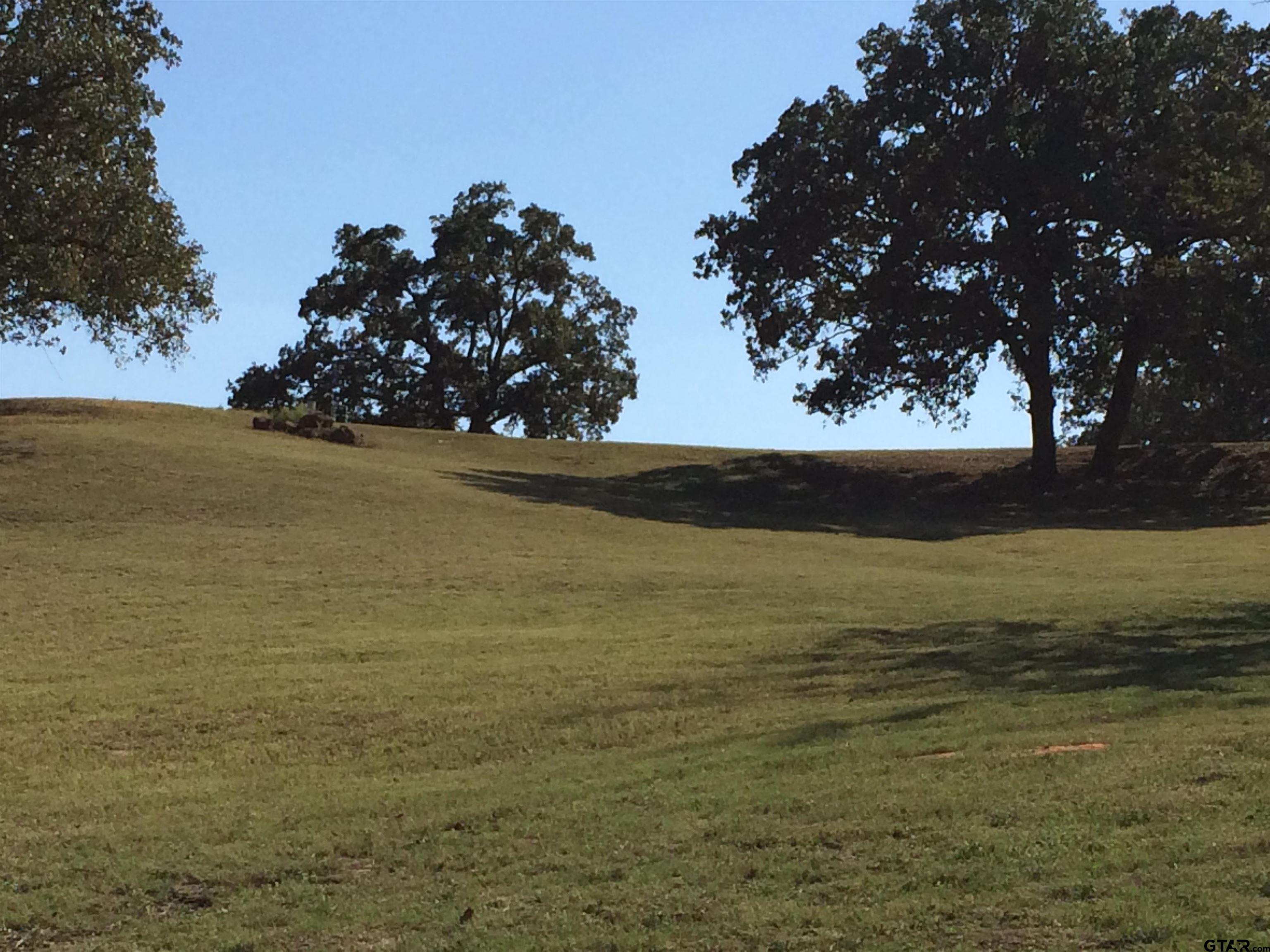 Lot 246 Overlook Point Athens, TX 75752 - Photo 23 of 23