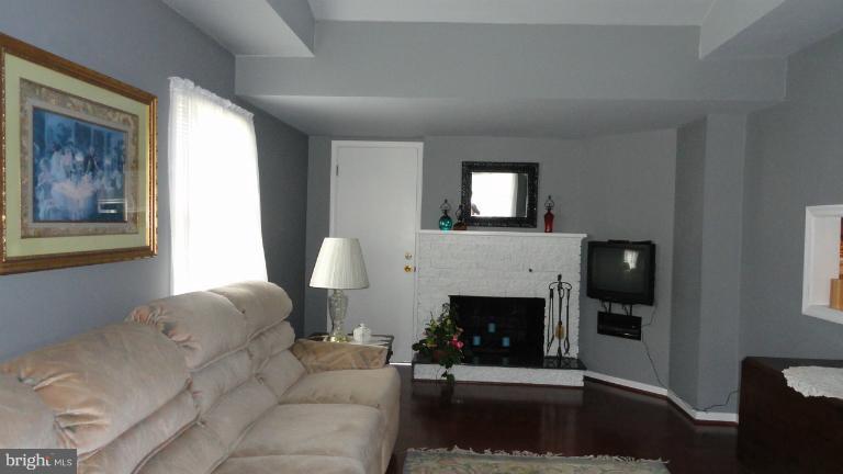 11302 Manse Road Hagerstown, MD 21740 - Photo 6 of 29 Family Room W/FP