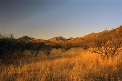 0 Salero Canyon Road Tubac, AZ 85646 - Photo 5 of 7 Gallery Image 5