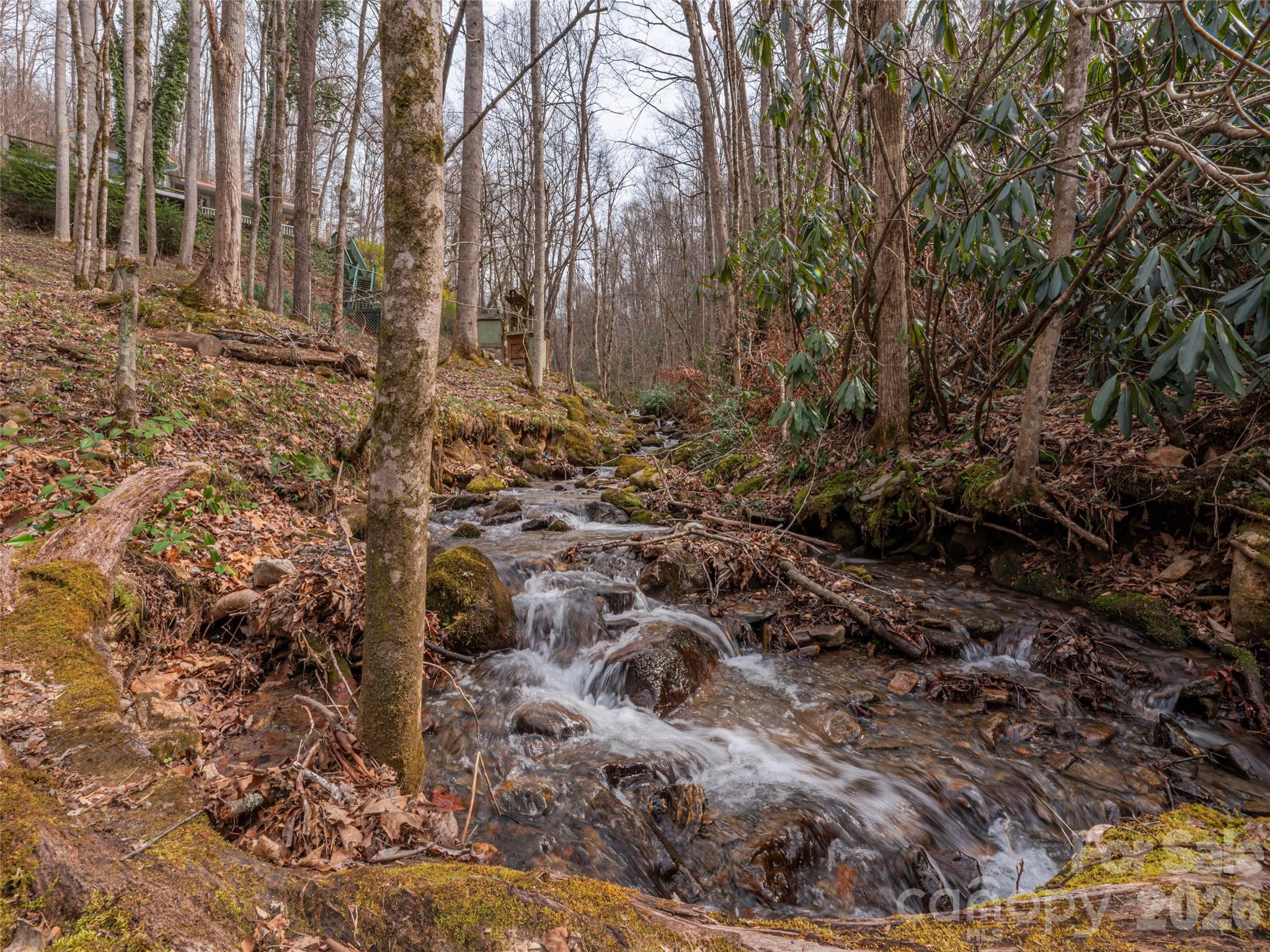 897 Dark Ridge Road Sylva, NC 28779 - Photo 2 of 39