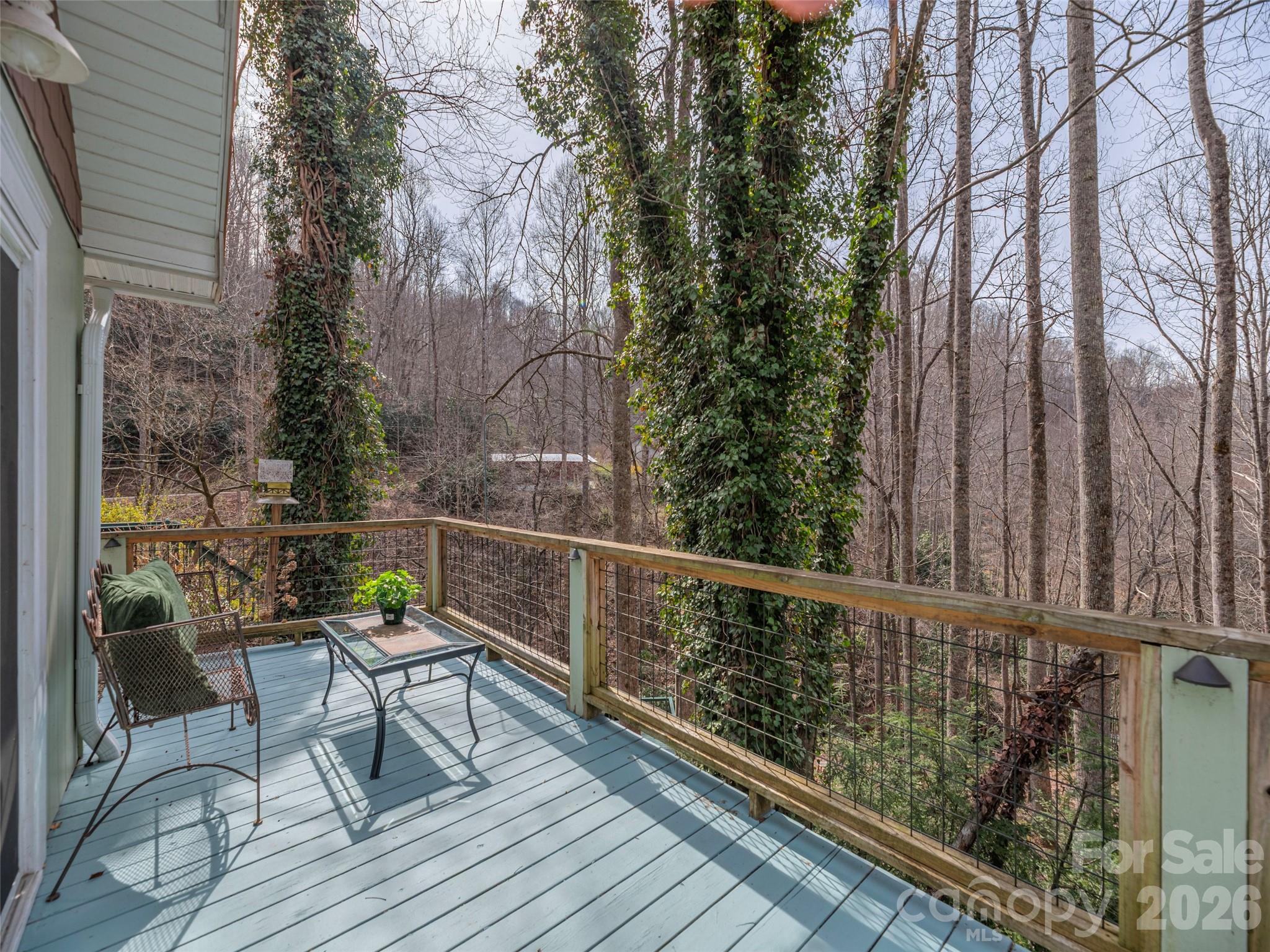 897 Dark Ridge Road Sylva, NC 28779 - Photo 22 of 39