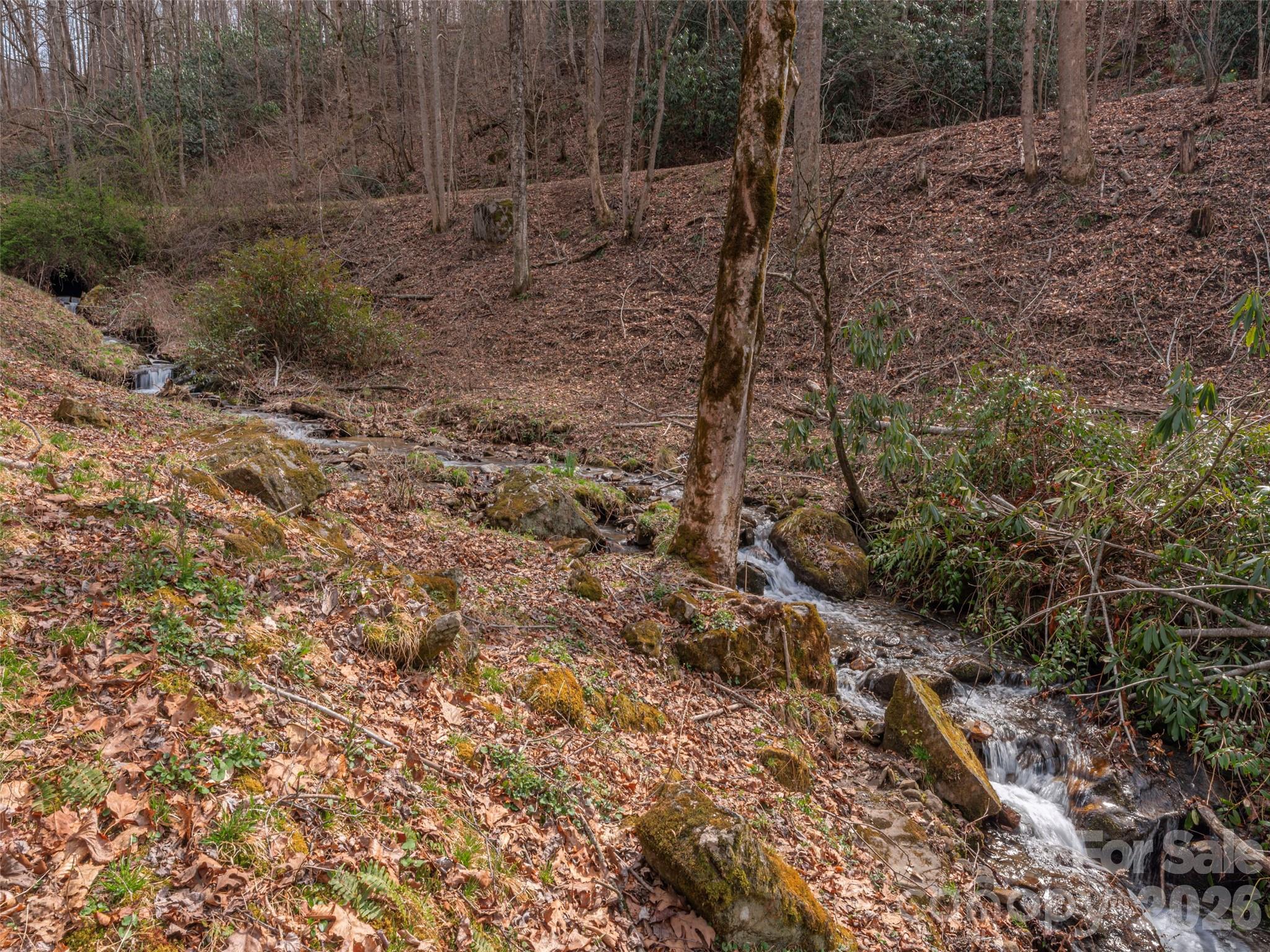 897 Dark Ridge Road Sylva, NC 28779 - Photo 26 of 39