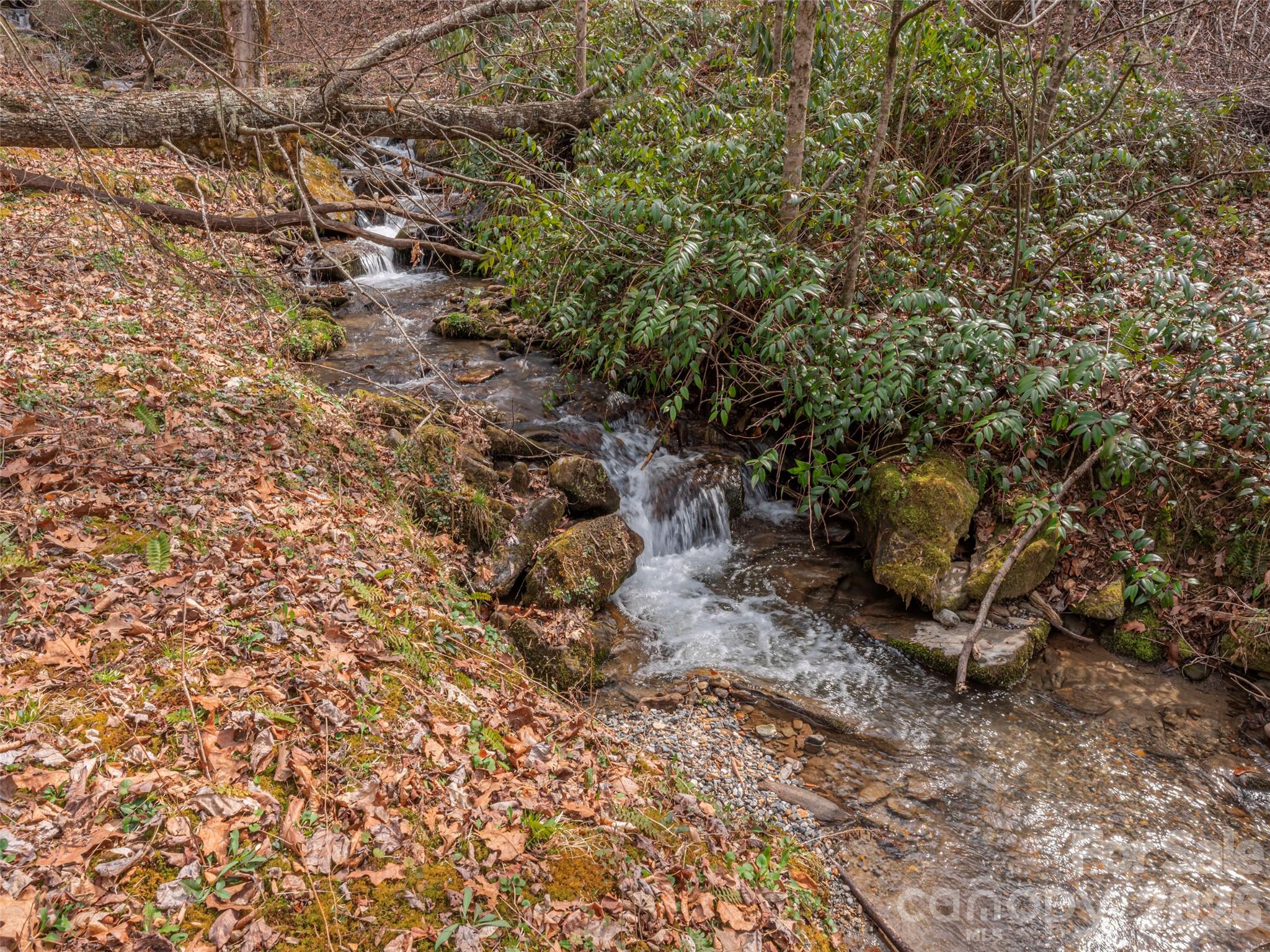 897 Dark Ridge Road Sylva, NC 28779 - Photo 28 of 39
