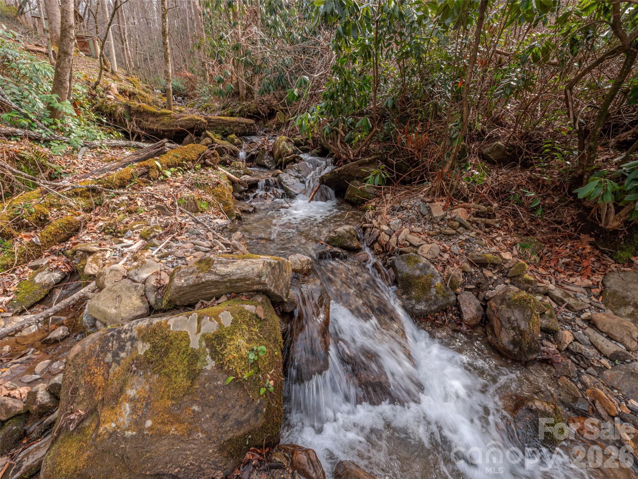 897 Dark Ridge Road Sylva, NC 28779 - Photo 33 of 39