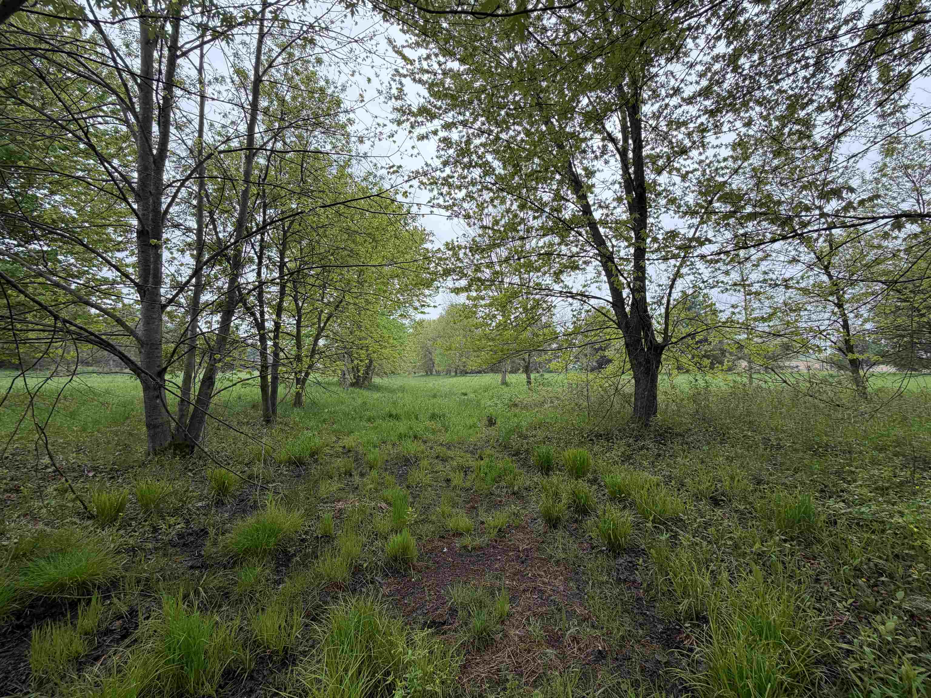 5755 350th Street Stanley, WI 54768 - Photo 15 of 16