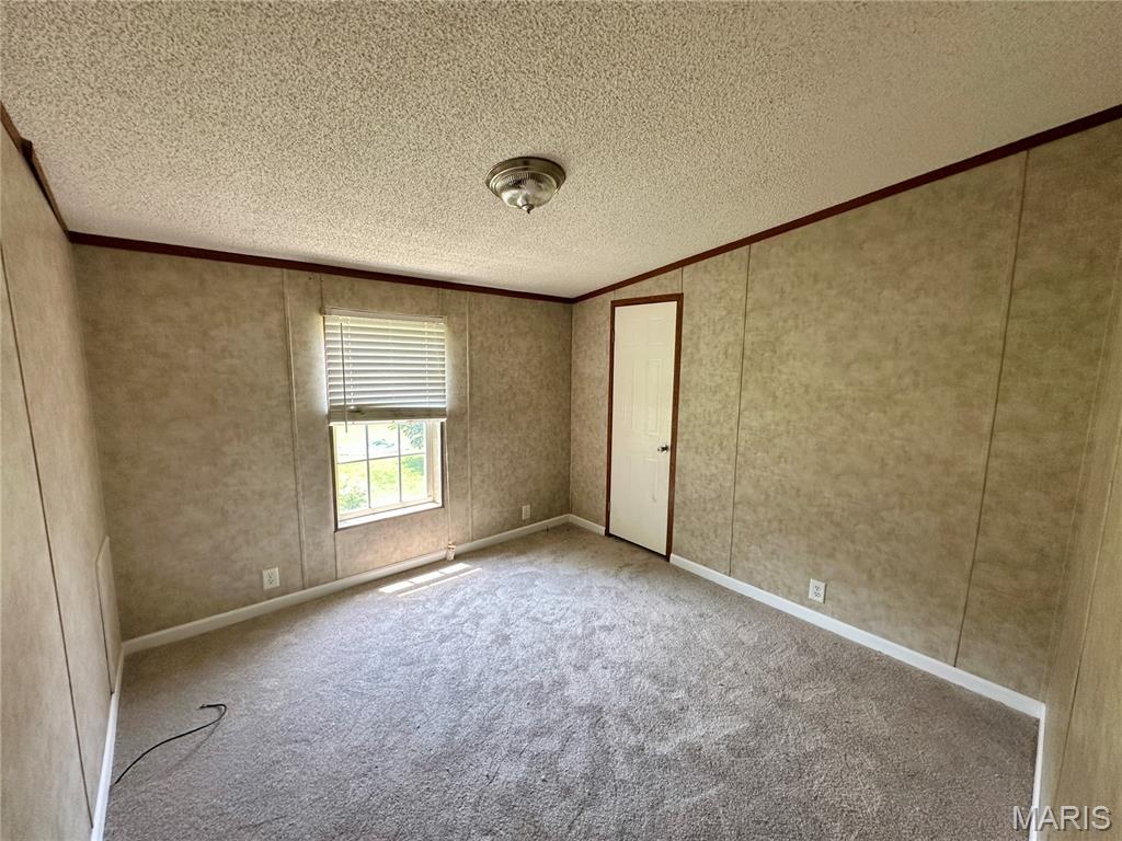 9345 Schaller Road Lenzburg, IL 62255 - Photo 14 of 31