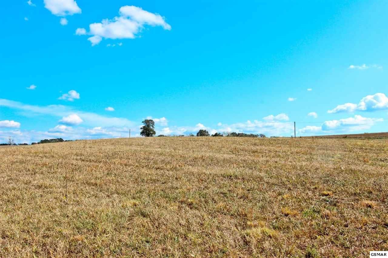 2 Timber Ridge Road Greeneville, TN 37743 - Photo 16 of 27 Gallery Image 16