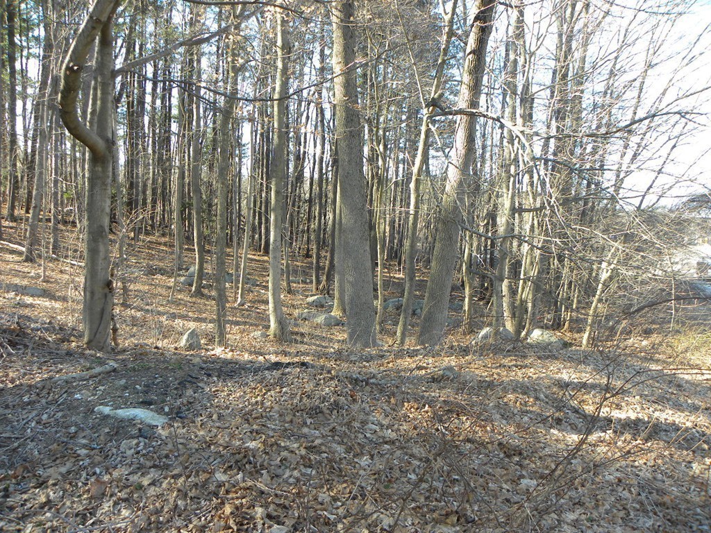 54 Worcester Road Charlton, MA 01507 - Photo 8 of 29