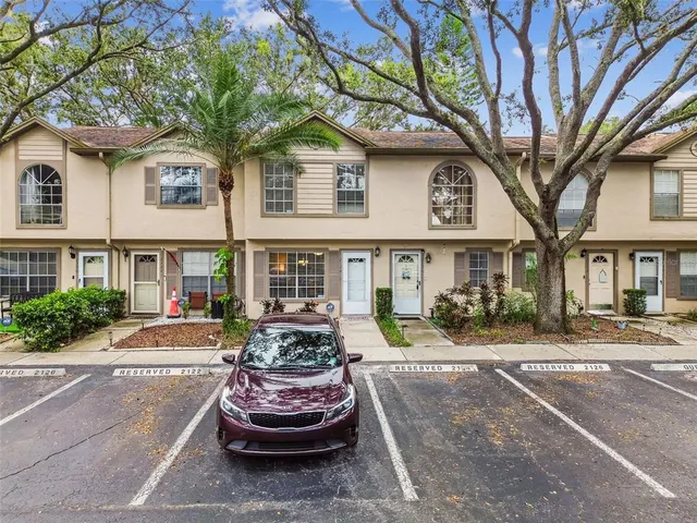 a view of backyard with tree