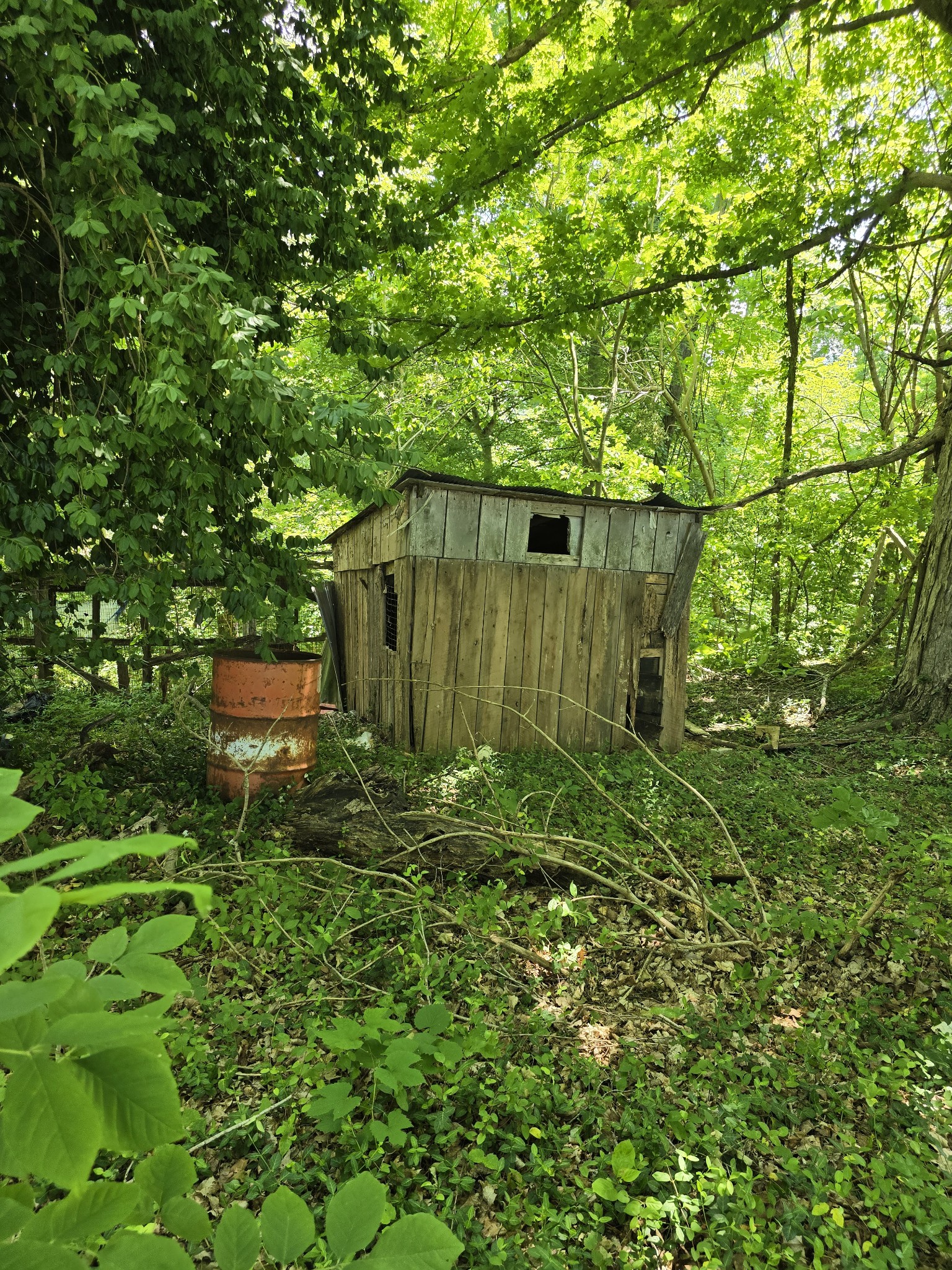 701 Stinson Road Bon Aqua, TN 37025 - Photo 45 of 57
