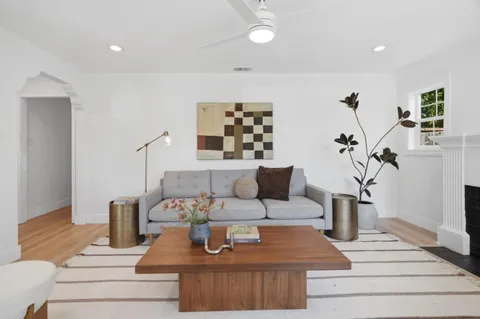 a living room with furniture and a potted plant