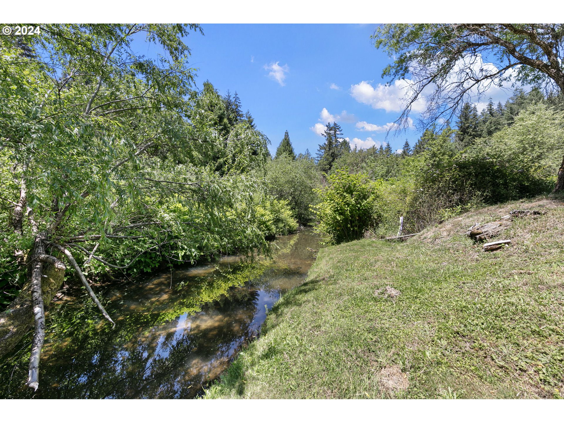 1610 Sand Creek Road Drain, OR 97435 - Photo 26 of 35 Gallery Image 26