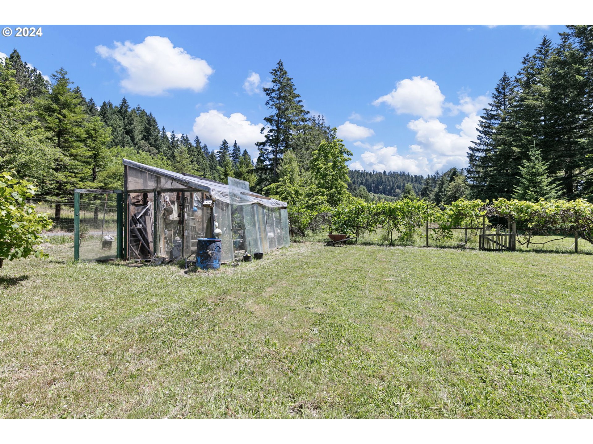1610 Sand Creek Road Drain, OR 97435 - Photo 27 of 35 Gallery Image 27