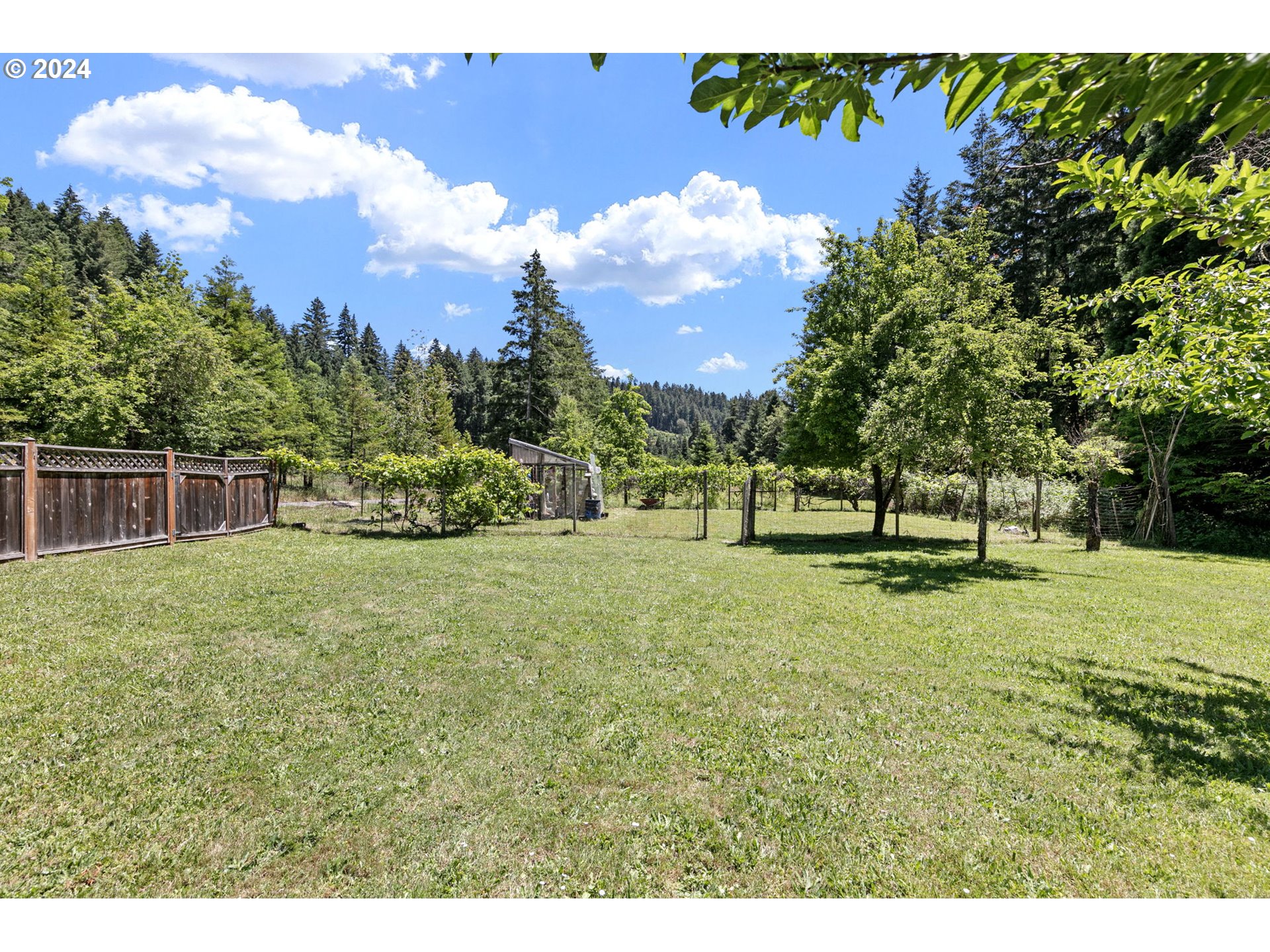1610 Sand Creek Road Drain, OR 97435 - Photo 28 of 35 Gallery Image 28