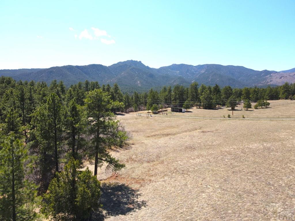 3990 Northcreek Road Beulah, CO 81023 - Photo 49 of 62