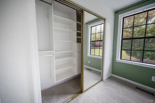 a view of a forest with trees