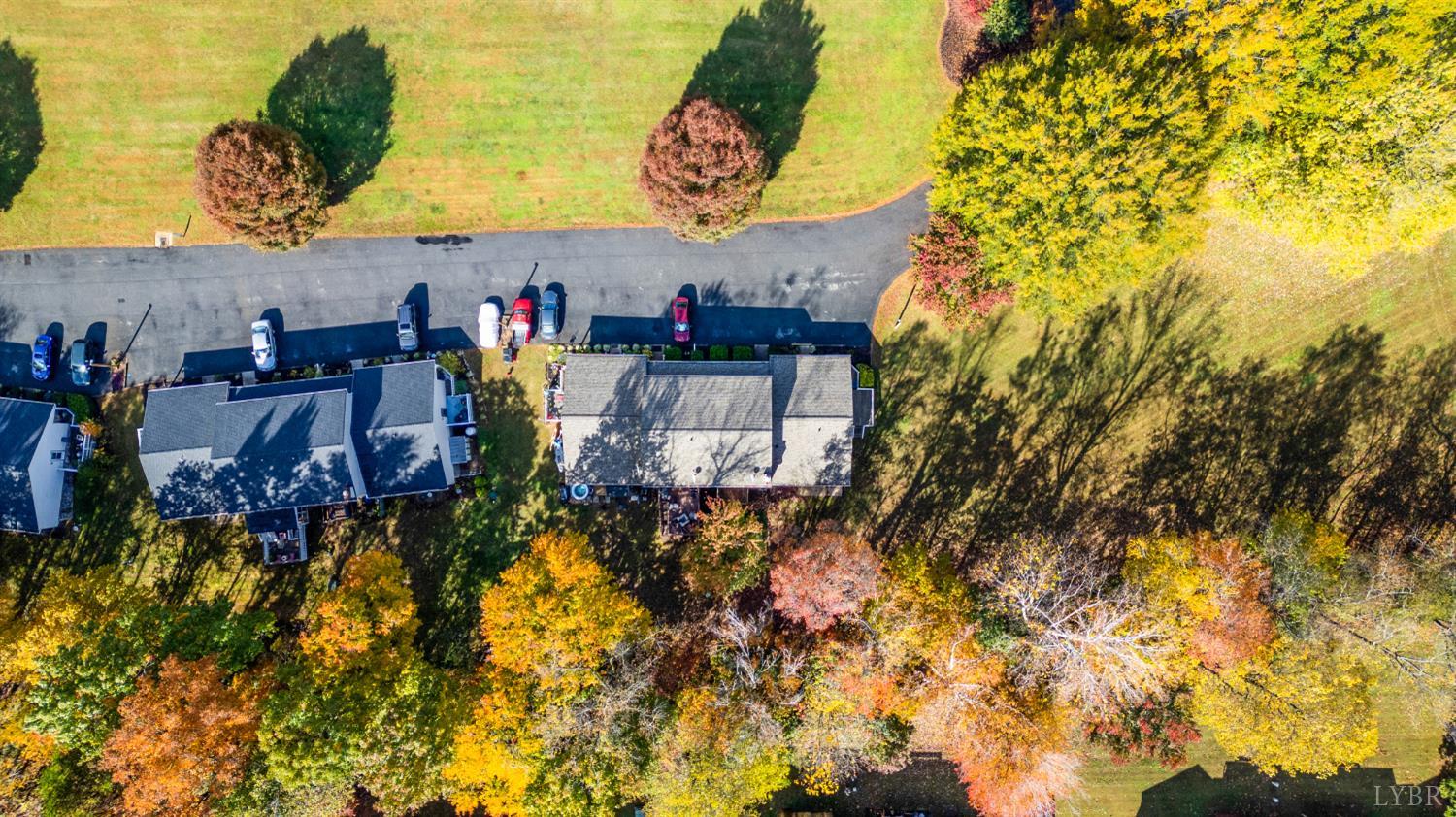 102 Goose Ridge Drive Forest, VA 24551 - Photo 49 of 57
