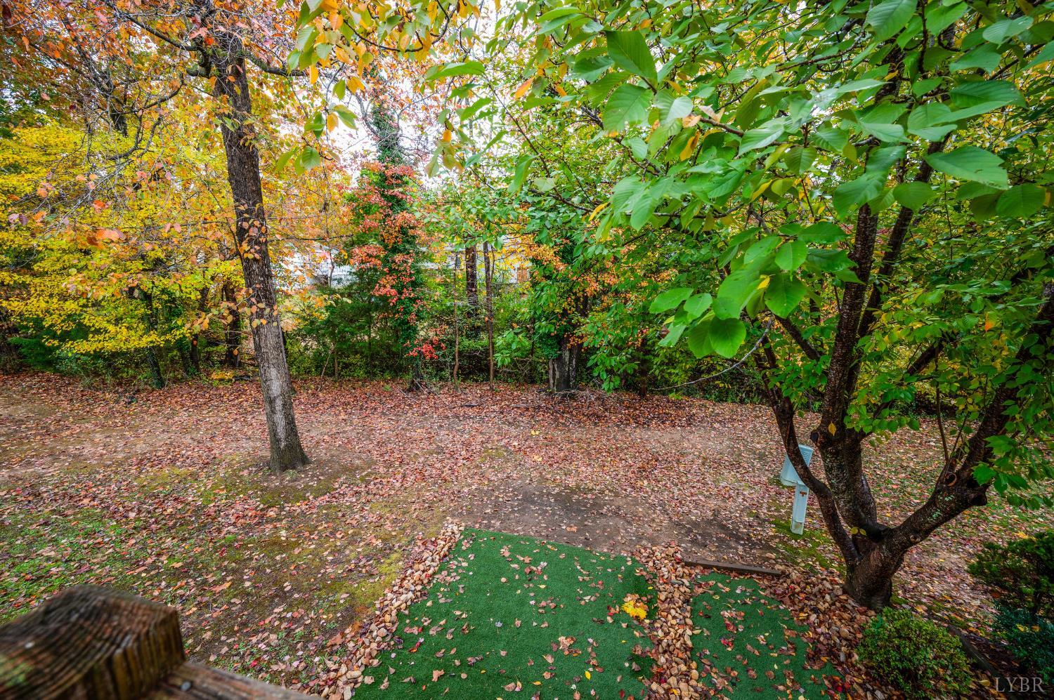 102 Goose Ridge Drive Forest, VA 24551 - Photo 53 of 57