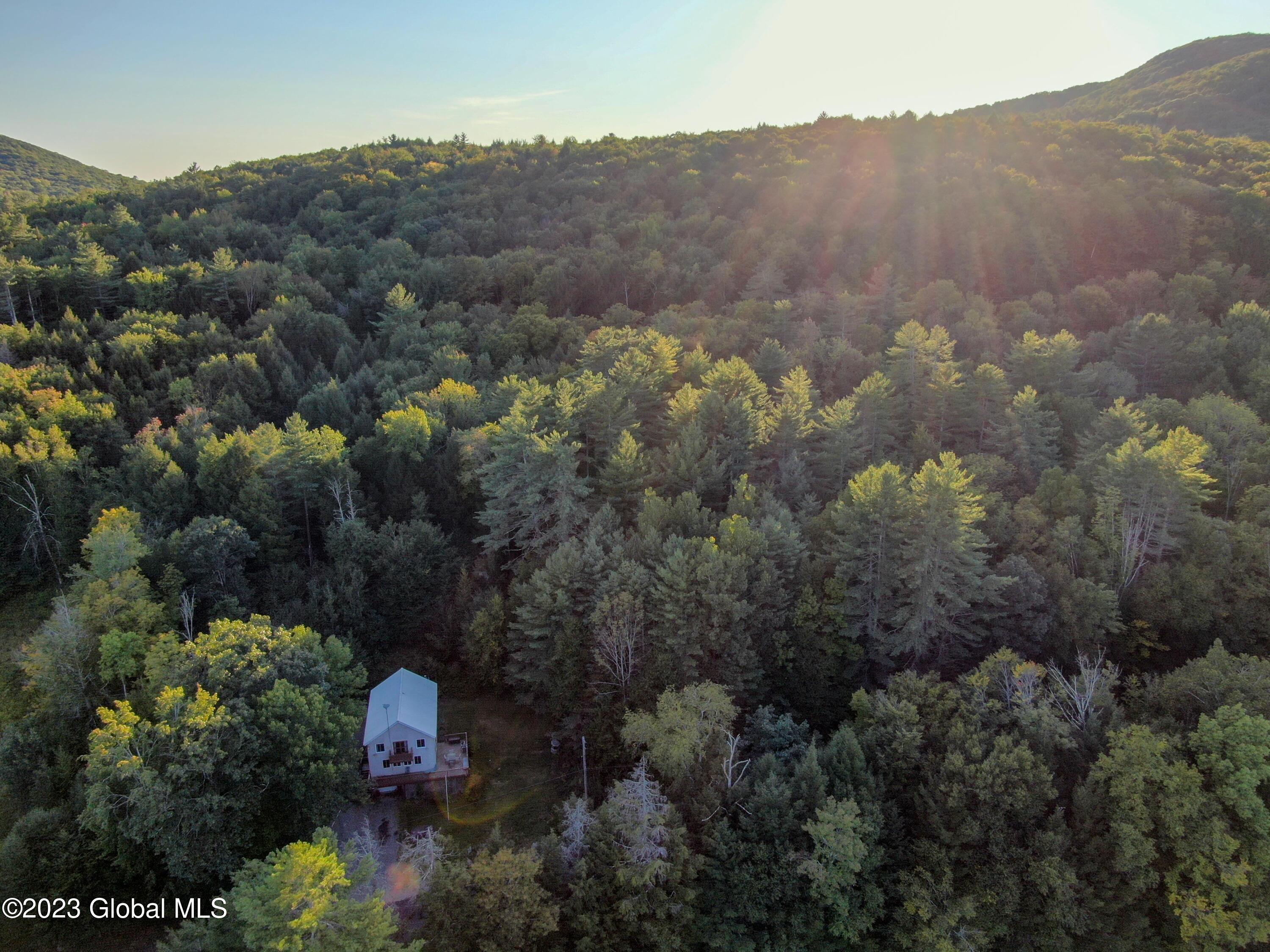 183 River Road Benson, NY 12134 - Photo 26 of 34 DJI_0445