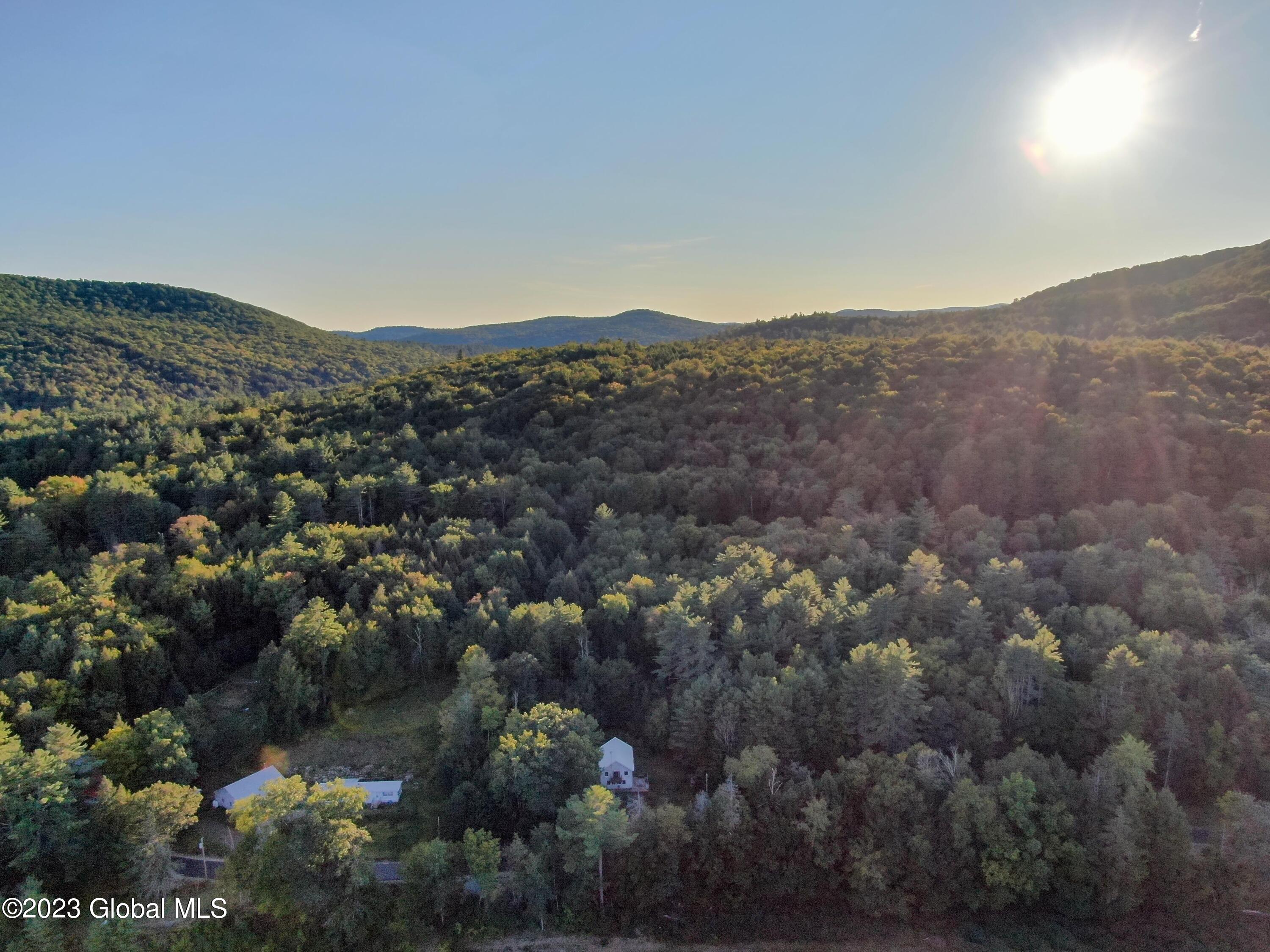 183 River Road Benson, NY 12134 - Photo 28 of 34 DJI_0448