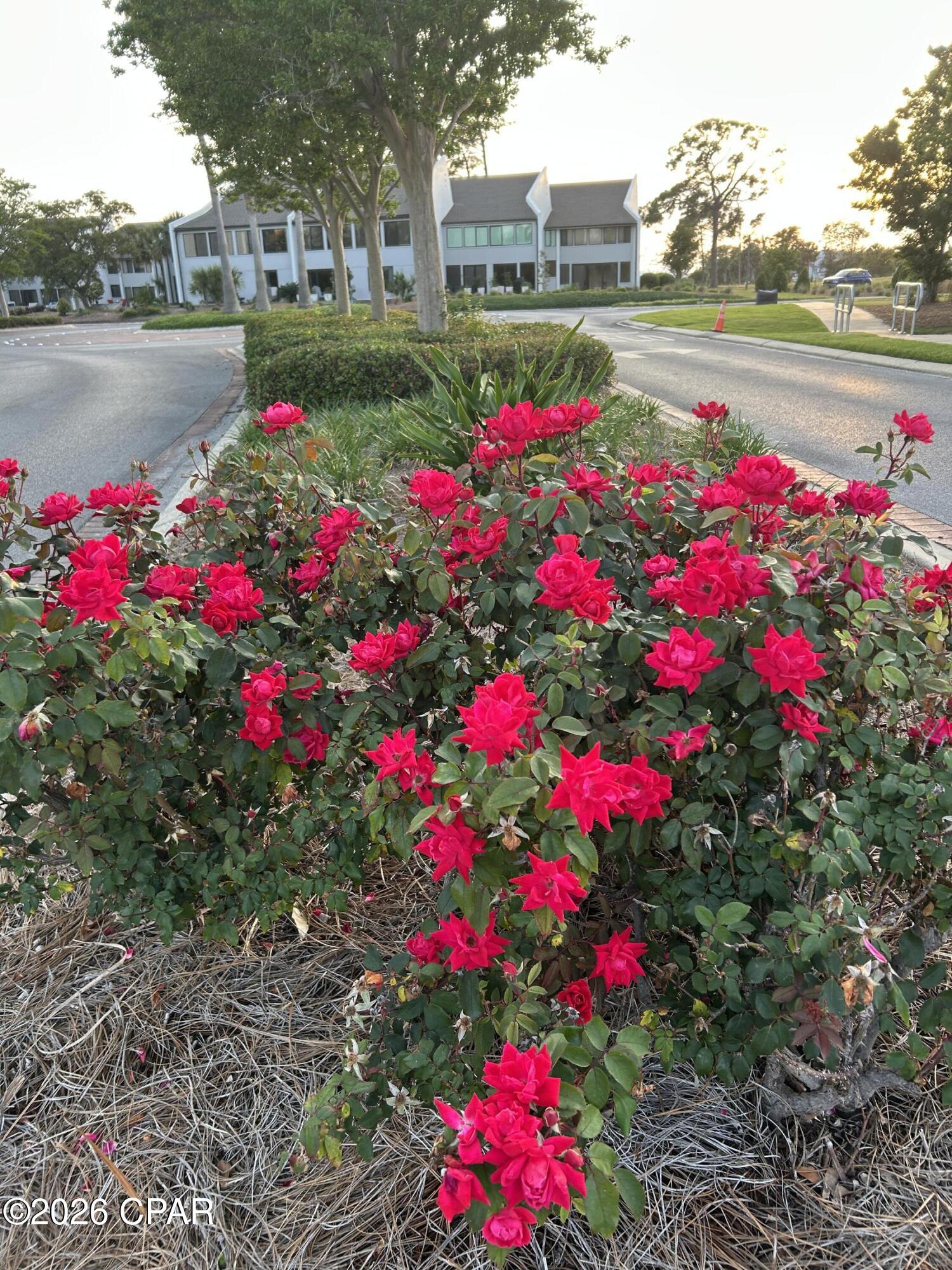 4725 Bay Point Road, Unit 269 Panama City, FL 32408 - Photo 27 of 29