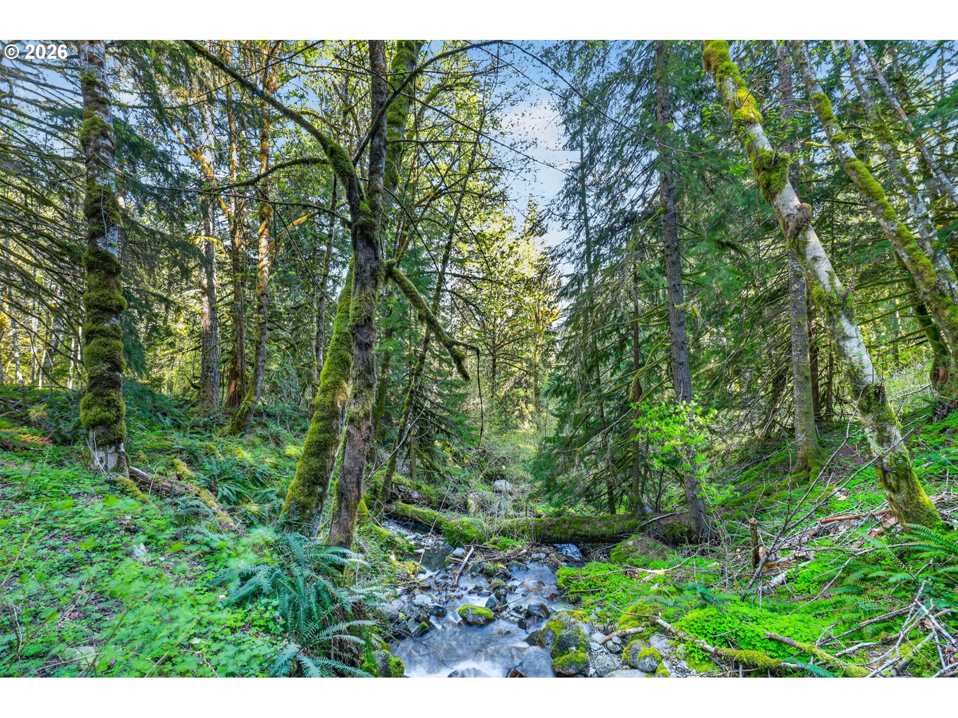 18685 East Aschoff Road Rhododendron, OR 97049 - Photo 40 of 48 a view of a garden