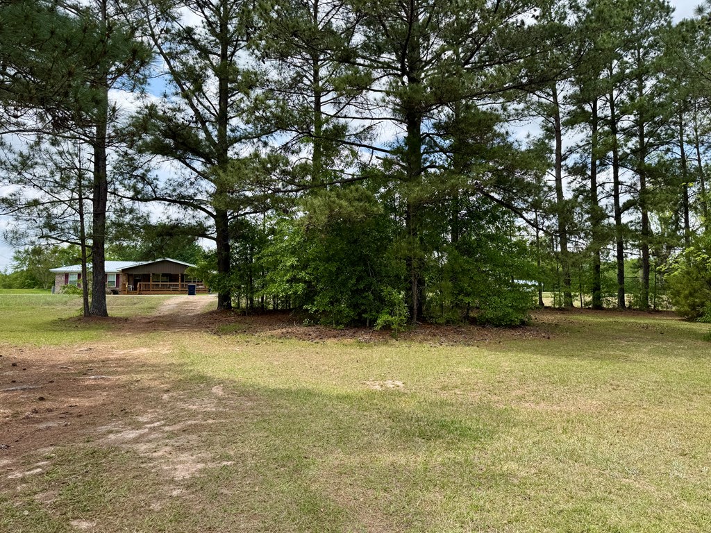 821 Harden Road Slocomb, AL 36375 - Photo 60 of 68