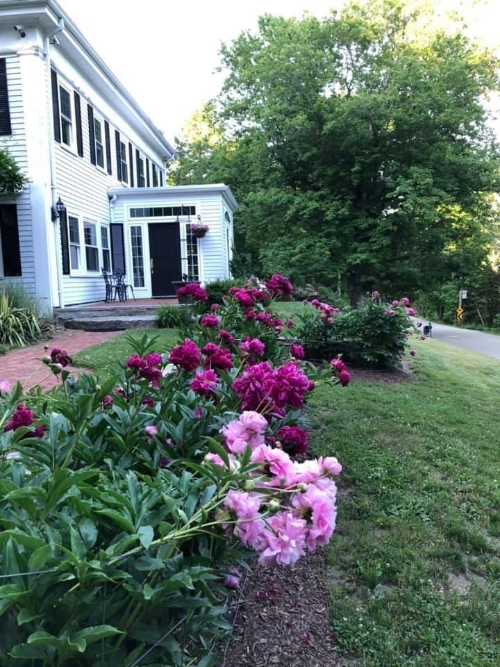 211 Bay Road Newmarket, NH 03857 - Photo 4 of 22