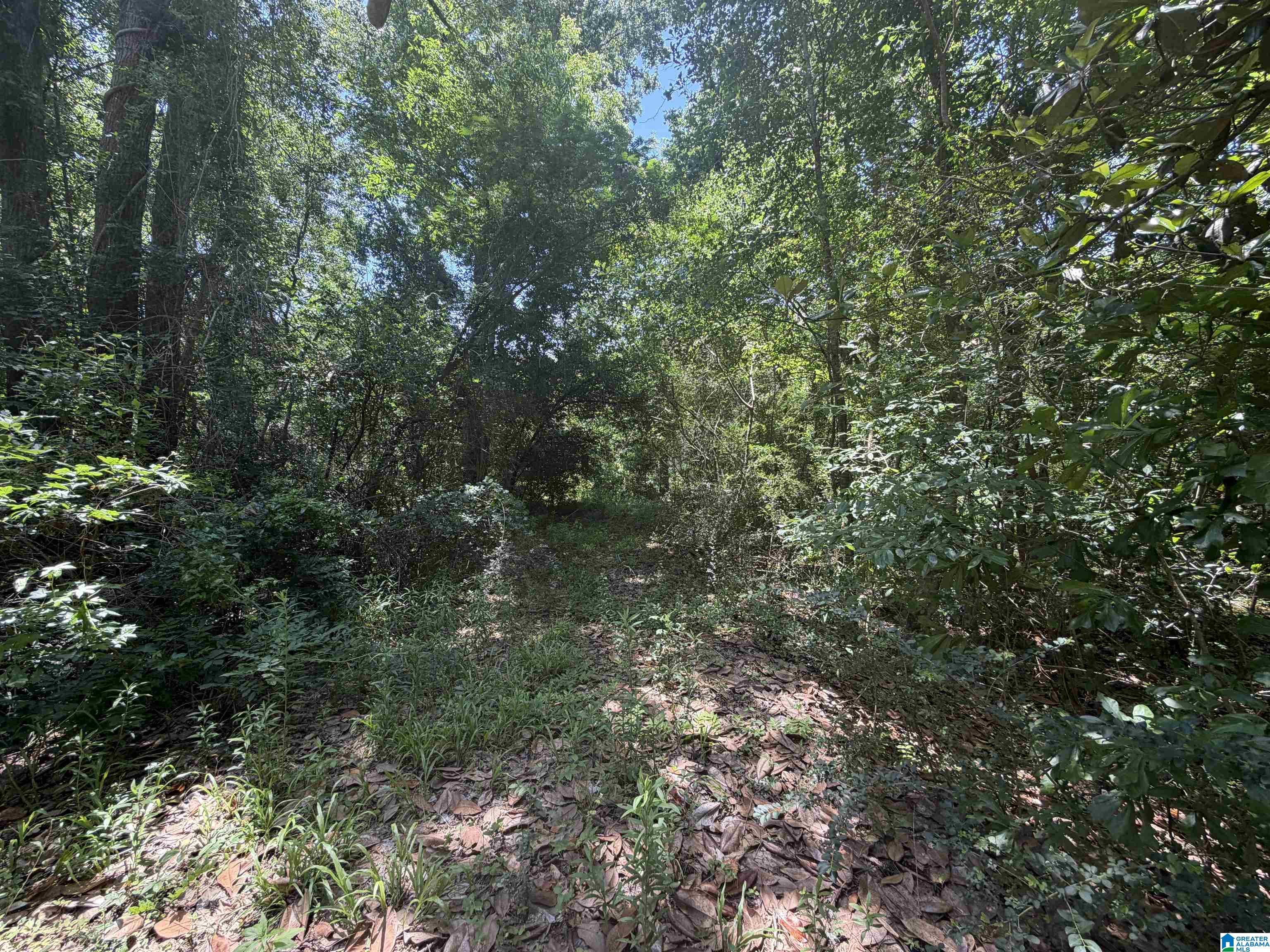 21123 Loop Road, Unit 1 Andalusia, AL 36421 - Photo 3 of 5
