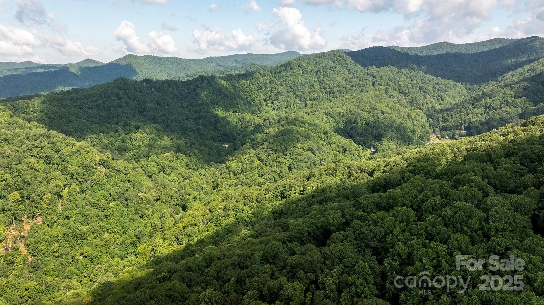 1710 Roaring Fork Road Mars Hill, NC 28754 - Photo 12 of 20 a view of a lush green forest with mountains in the background