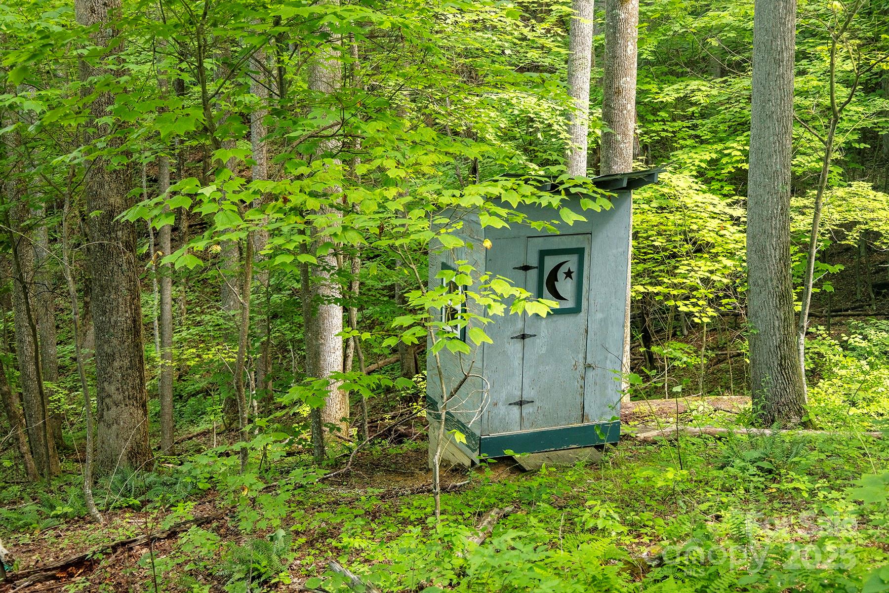1710 Roaring Fork Road Mars Hill, NC 28754 - Photo 16 of 20 a view of a garden with plants