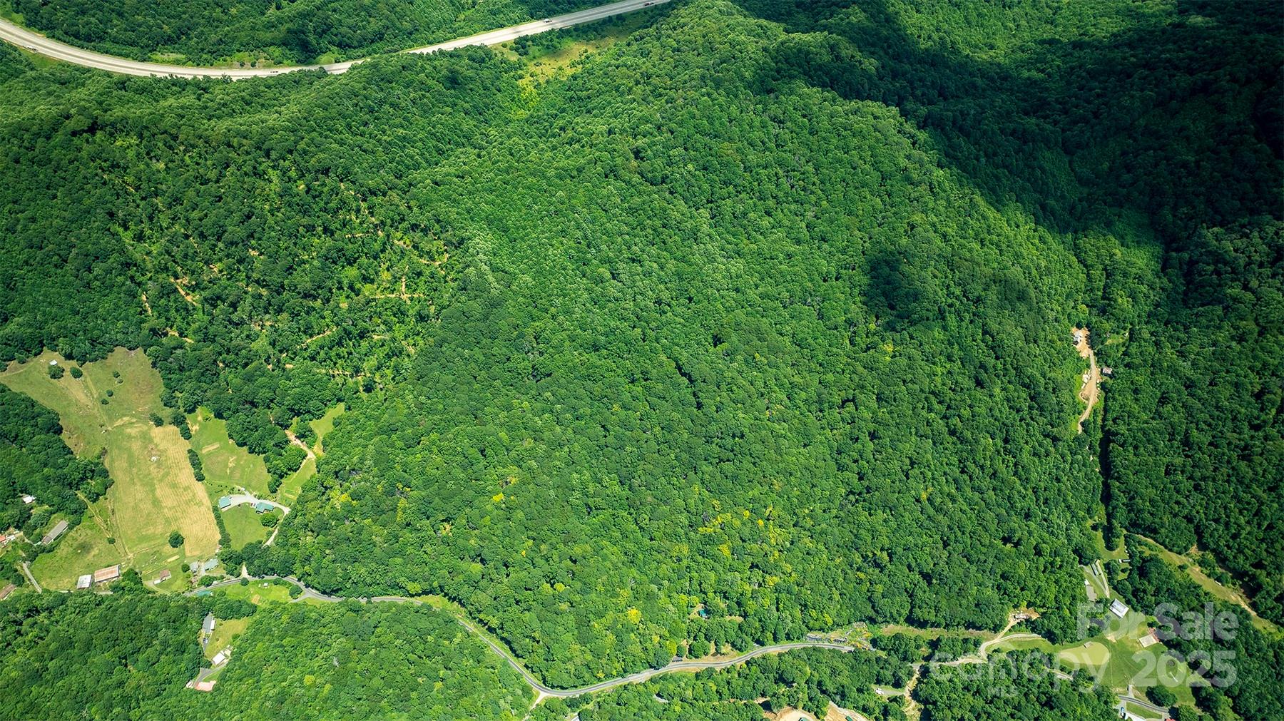 1710 Roaring Fork Road Mars Hill, NC 28754 - Photo 19 of 20 a view of a yard with a plant