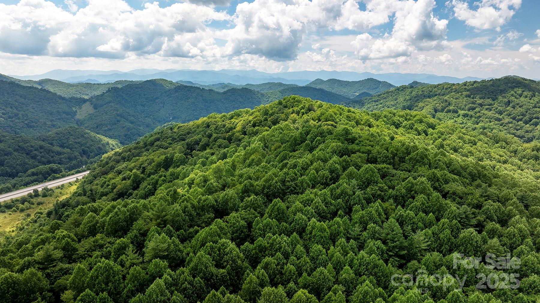 1710 Roaring Fork Road Mars Hill, NC 28754 - Photo 3 of 20 a view of a field with a mountain