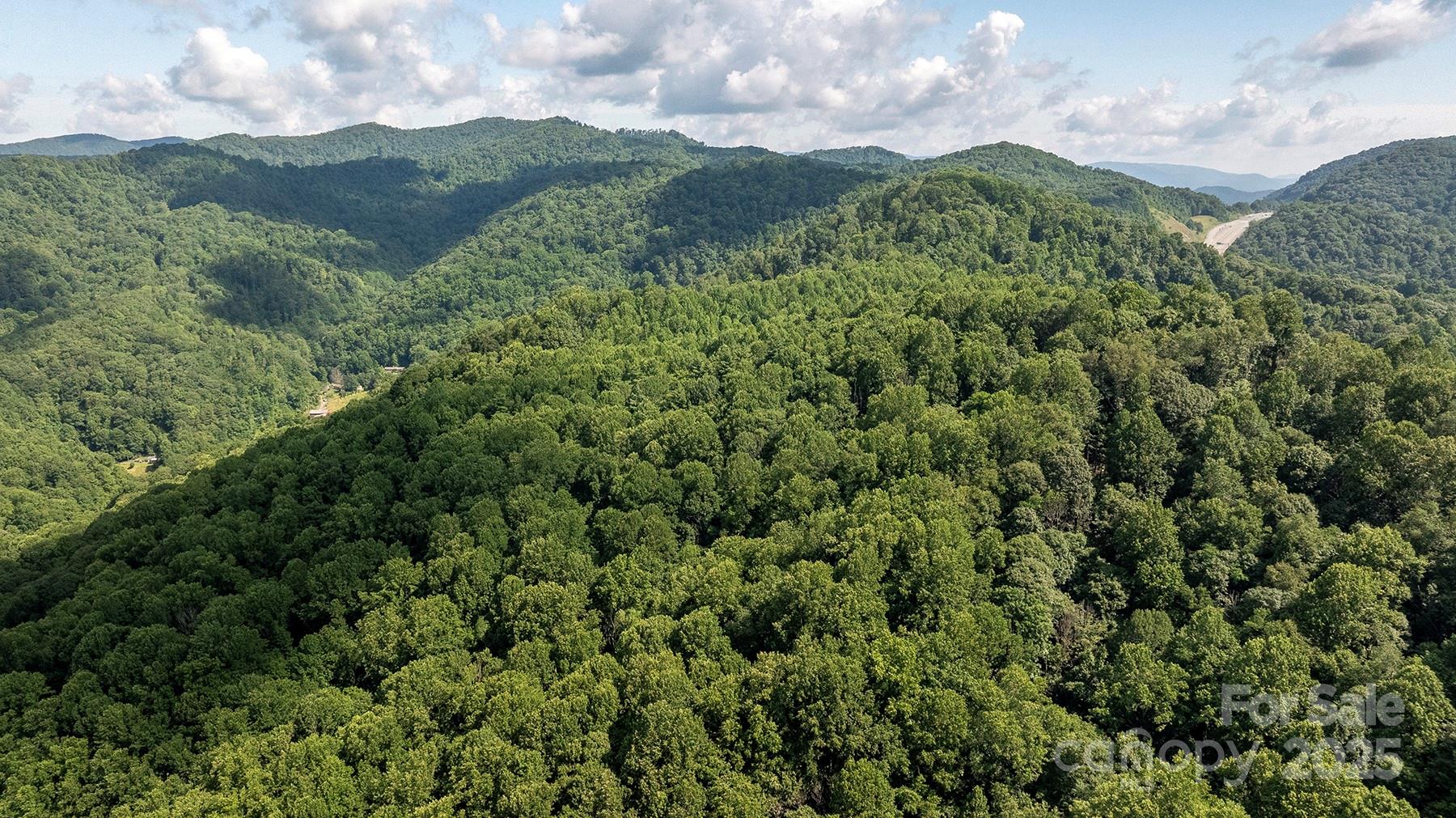 1710 Roaring Fork Road Mars Hill, NC 28754 - Photo 4 of 20