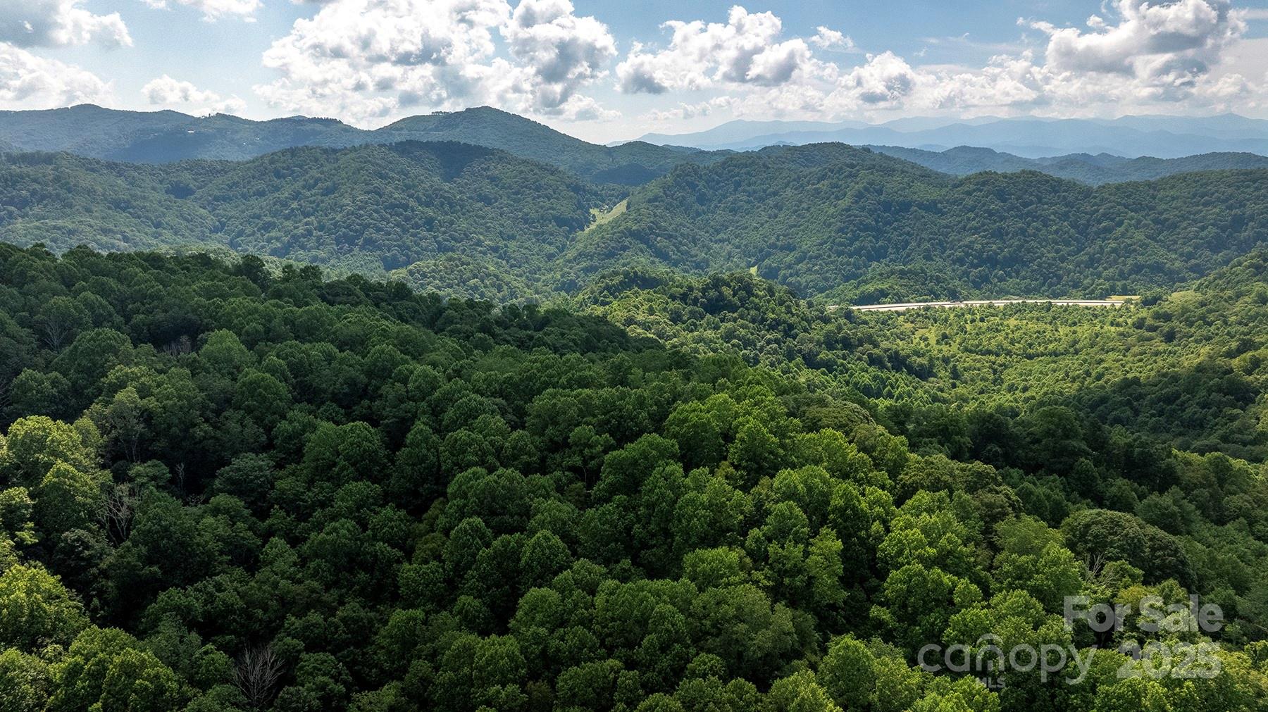 1710 Roaring Fork Road Mars Hill, NC 28754 - Photo 5 of 20 a view of a mountain in the distance