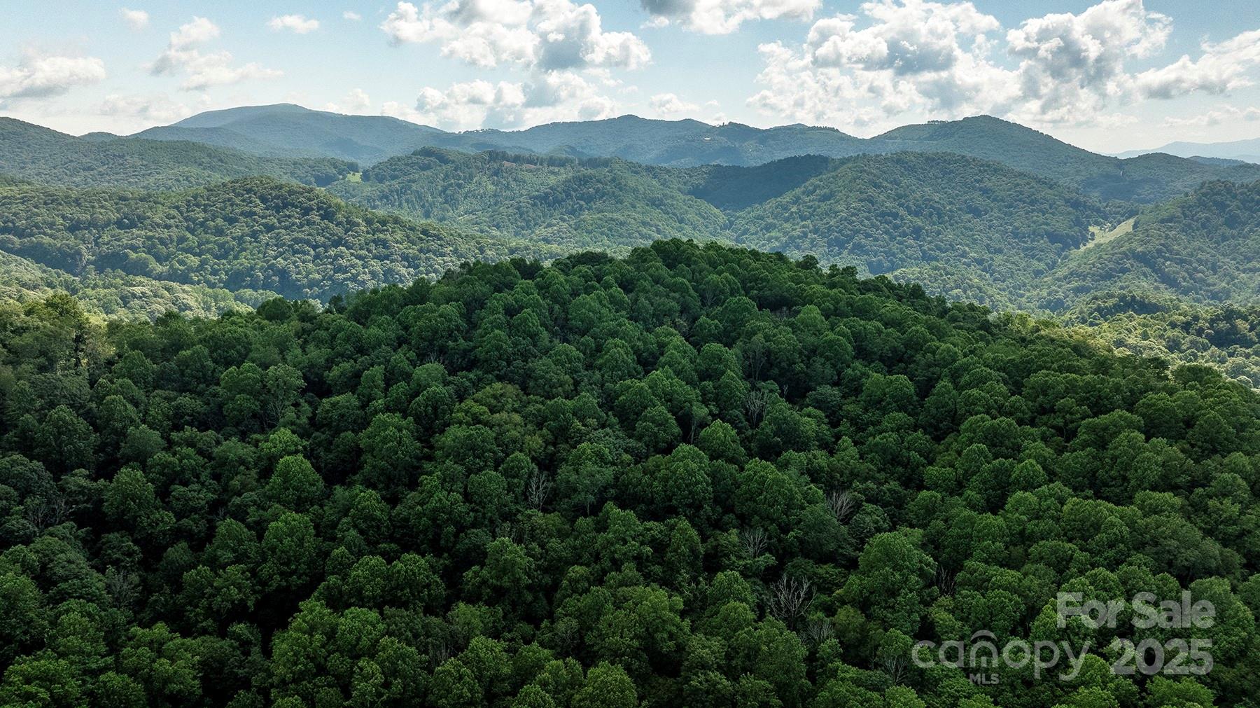 1710 Roaring Fork Road Mars Hill, NC 28754 - Photo 6 of 20 a view of a mountain range with trees in the background