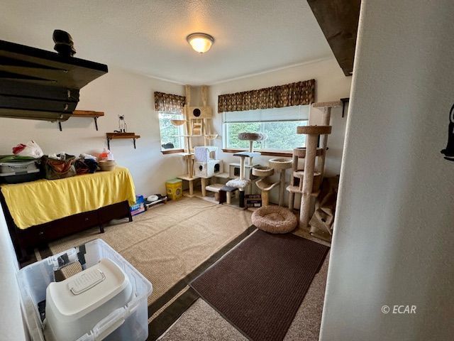 773 Devon Drive Spring Creek, NV 89815 - Photo 23 of 36 Gallery Image 23